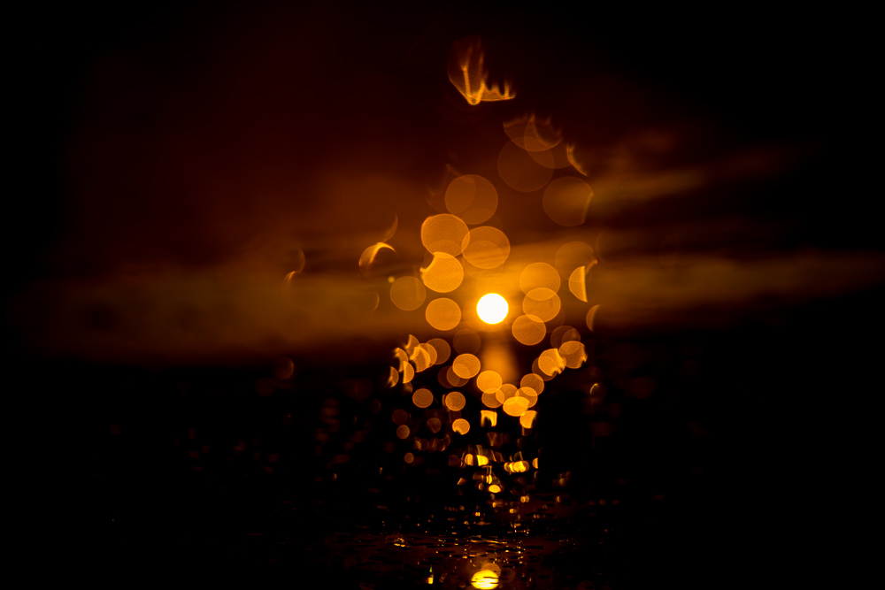 Peter Pesta | Rainy Bokeh